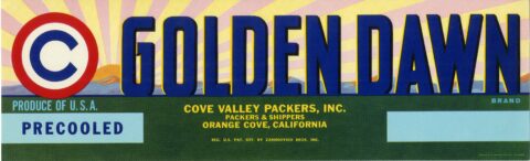 Golden Dawn